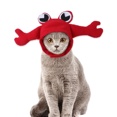 Moda inverno macio quente animal de estimação gato cão chapéu bonito caranguejo sapo pet chapelaria produtos para animais de estimação