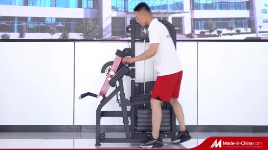 Personalização de amostra Máquina comercial de exercícios de força para academia, máquina de curvatura de bíceps e extensão de tríceps
